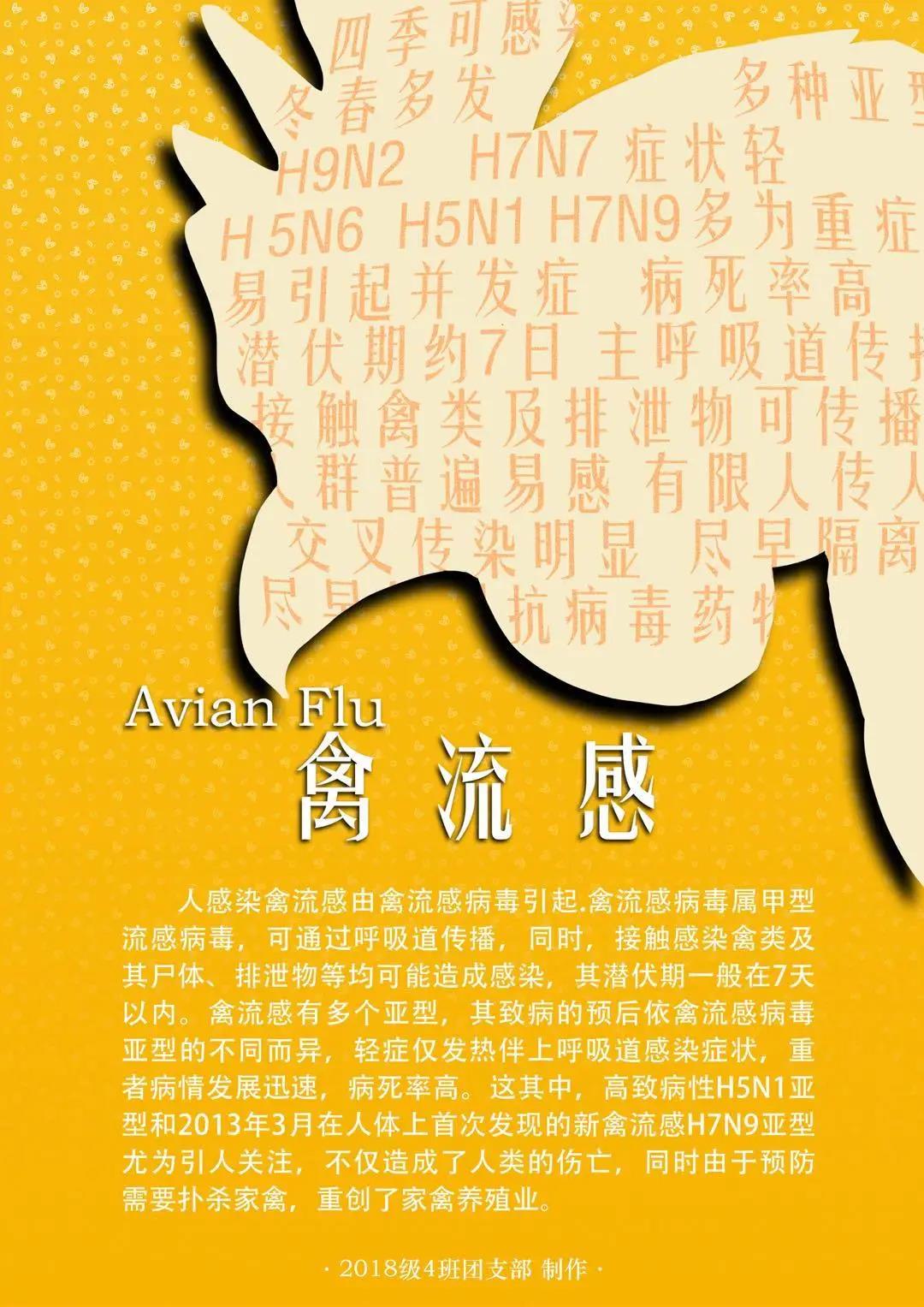 图片加载失败