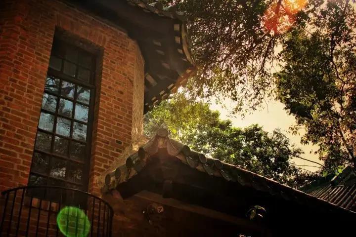 图片加载失败