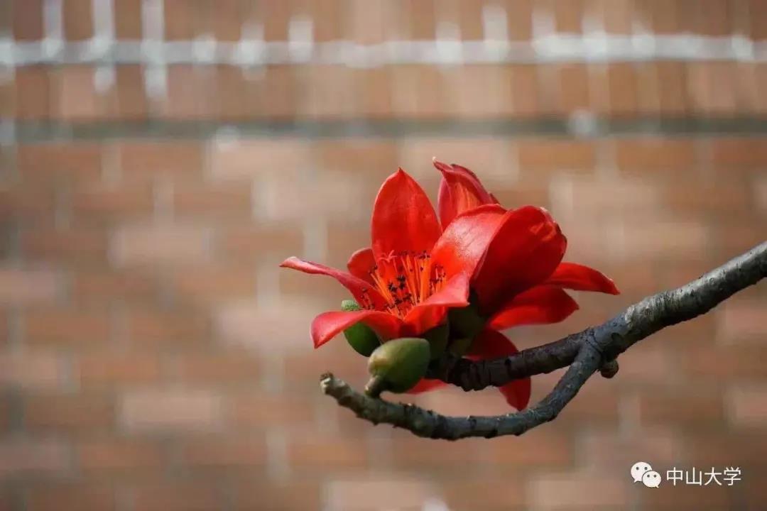 图片加载失败