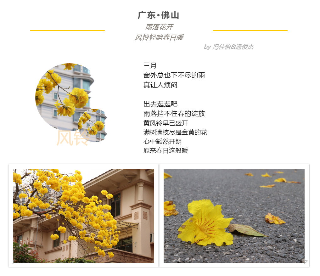图片加载失败