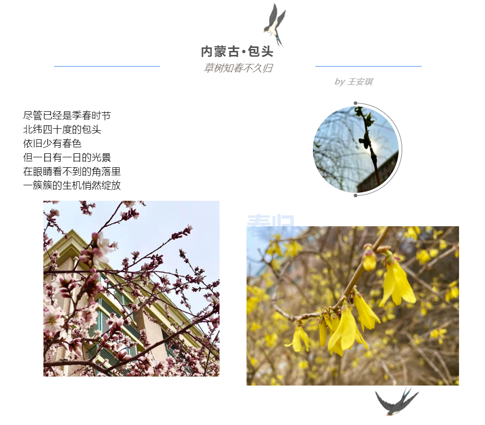 图片加载失败