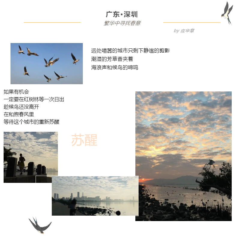 图片加载失败