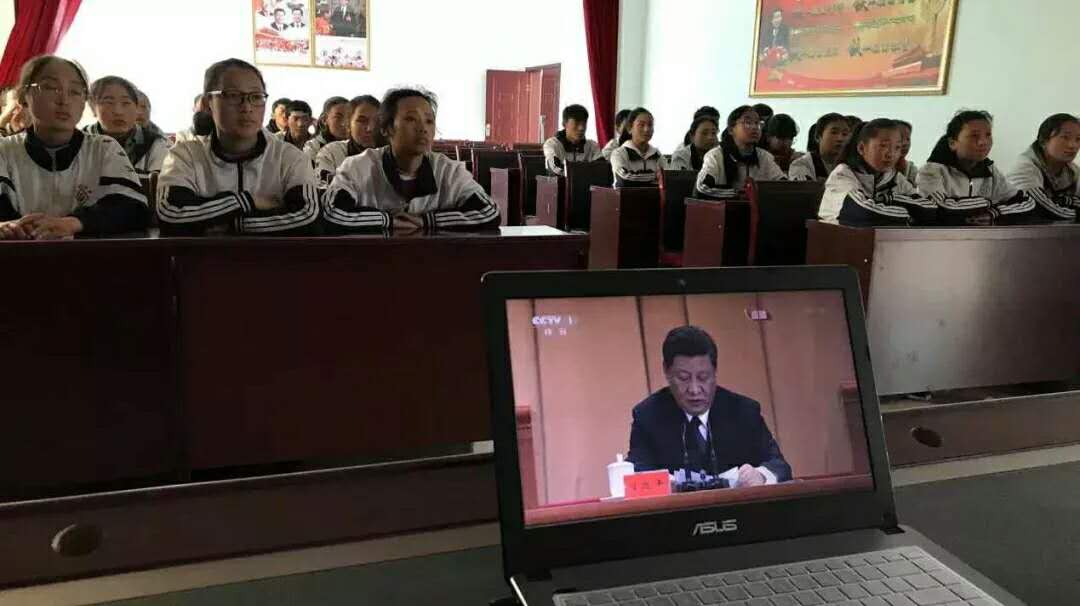 （图片逃跑了~）