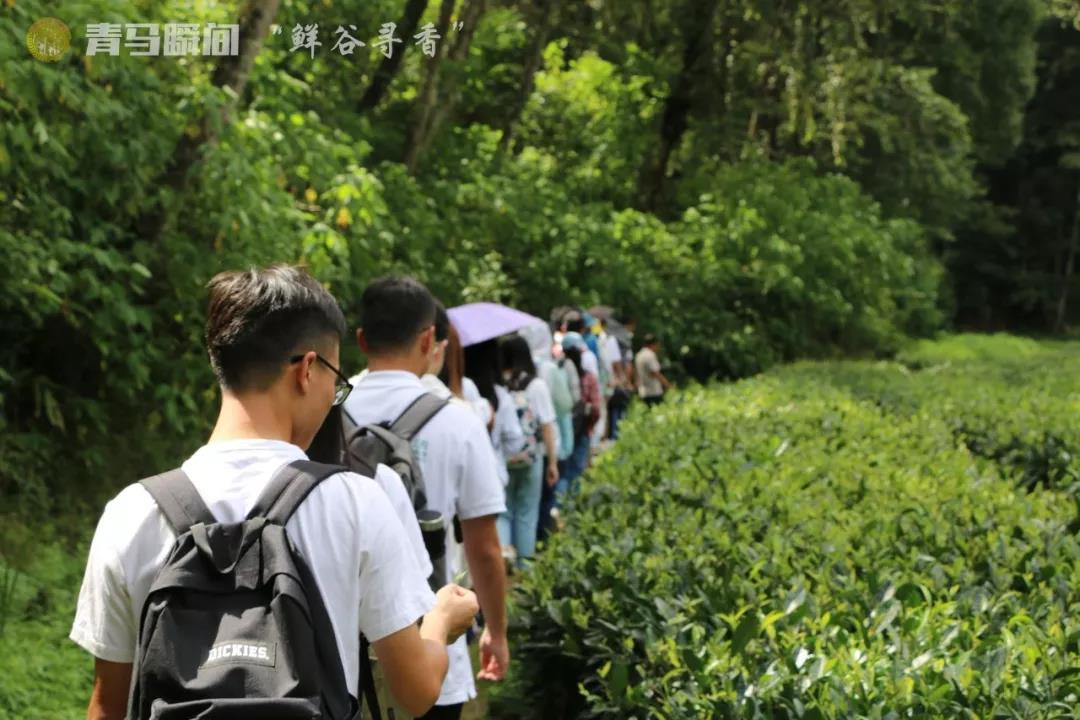 图片逃跑啦~